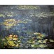 Nenúfares de Monet (3)