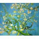 Rama de almendro en flor de Van Gogh